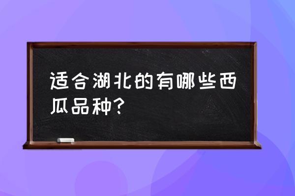 西瓜品种排行榜前十名 适合湖北的有哪些西瓜品种? 西瓜品种排行榜前十名 适合湖北的有哪些西瓜品种?