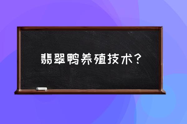 养鸭苗成活率高的方法 翡翠鸭养殖技术? 养鸭苗成活率高的方法 翡翠鸭养殖技术?