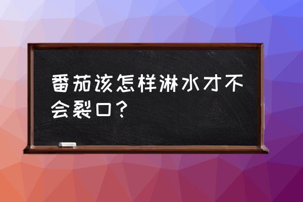 西红柿防裂果最佳方法 番茄该怎样淋水才不会裂口? 西红柿防裂果最佳方法 番茄该怎样淋水才不会裂口?