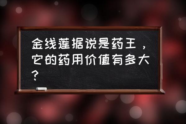 太子参多少钱一斤 金线莲据说是药王,它的药用价值有多大? 太子参多少钱一斤 金线莲据说是药王,它的药用价值有多大?