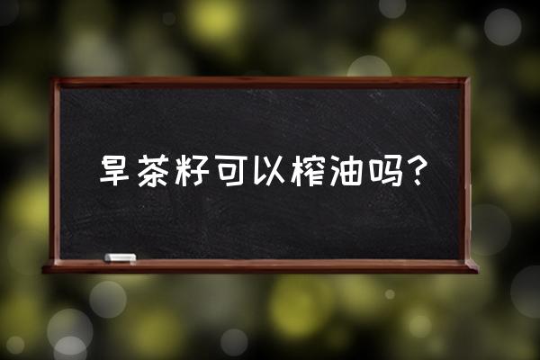 茶树上面的茶籽有什么用 旱茶籽可以榨油吗? 茶树上面的茶籽有什么用 旱茶籽可以榨油吗?