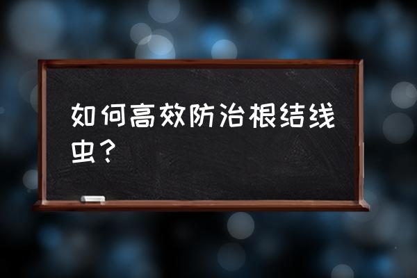 根线虫消灭绝招 如何高效防治根结线虫? 根线虫消灭绝招 如何高效防治根结线虫?