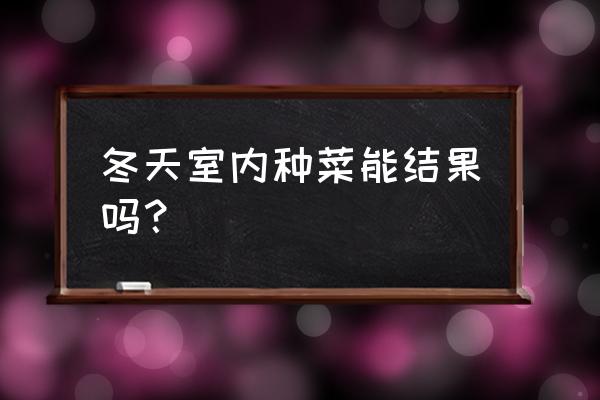 家种西红柿冬天能结果吗 冬天室内种菜能结果吗? 家种西红柿冬天能结果吗 冬天室内种菜能结果吗?