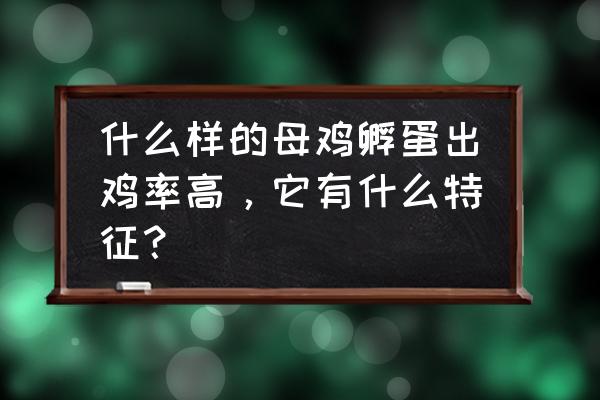 买什么鸡下蛋多 什么样的母鸡孵蛋出鸡率高,它有什么特征? 买什么鸡下蛋多 什么样的母鸡孵蛋出鸡率高,它有什么特征?