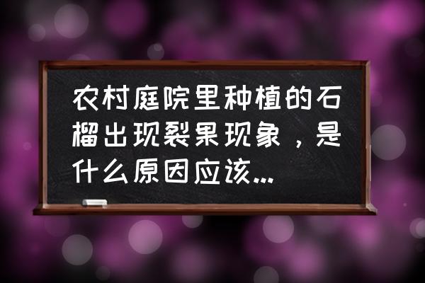 石榴树结果后烂果怎么办 农村庭院里种植的石榴出现裂果现象,是什么原因应该如何防治? 石榴树结果后烂果怎么办 农村庭院里种植的石榴出现裂果现象,是什么原因应该如何防治?
