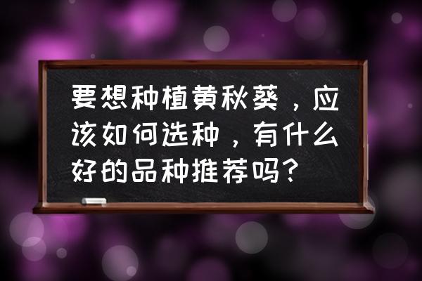 圆叶锦葵怎么种植 要想种植黄秋葵,应该如何选种,有什么好的品种推荐吗? 圆叶锦葵怎么种植 要想种植黄秋葵,应该如何选种,有什么好的品种推荐吗?