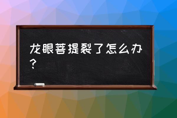龙眼菩提是扁的还是圆的 龙眼菩提裂了怎么办? 龙眼菩提是扁的还是圆的 龙眼菩提裂了怎么办?