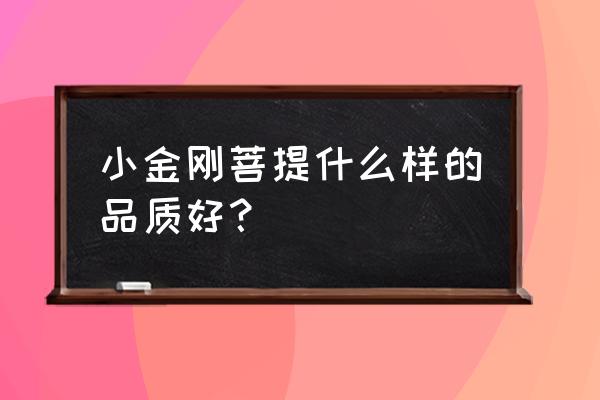 区分金刚菩提好坏最简单的方法 小金刚菩提什么样的品质好? 区分金刚菩提好坏最简单的方法 小金刚菩提什么样的品质好?