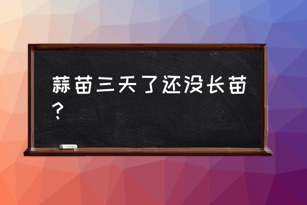 连续阴雨天对大蒜的影响 蒜苗三天了还没长苗? 连续阴雨天对大蒜的影响 蒜苗三天了还没长苗?
