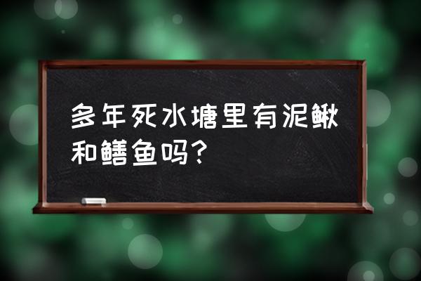 黄鳝对水质的要求高吗 多年死水塘里有泥鳅和鳝鱼吗? 黄鳝对水质的要求高吗 多年死水塘里有泥鳅和鳝鱼吗?