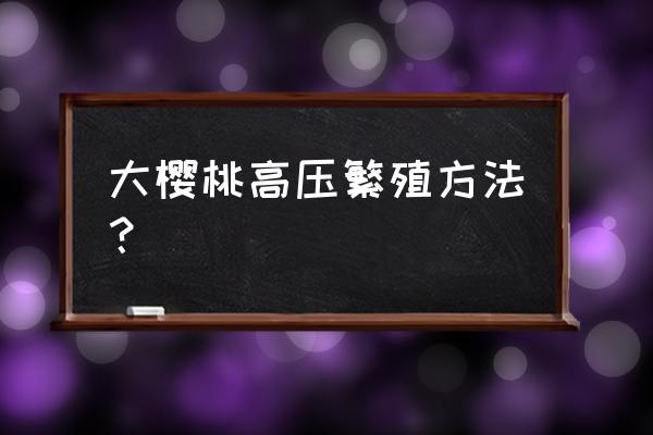 车厘子的种子可以直接育苗吗 大樱桃高压繁殖方法? 车厘子的种子可以直接育苗吗 大樱桃高压繁殖方法?