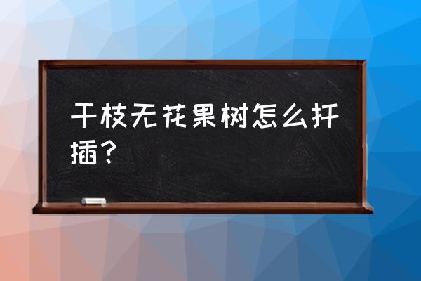 无花果树扦插的正确方法 干枝无花果树怎么扦插? 无花果树扦插的正确方法 干枝无花果树怎么扦插?
