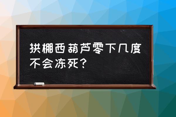小拱棚西葫芦栽培技术与产量 拱棚西葫芦零下几度不会冻死? 小拱棚西葫芦栽培技术与产量 拱棚西葫芦零下几度不会冻死?