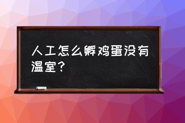 自制孵化箱最简单的方法 人工怎么孵鸡蛋没有温室? 自制孵化箱最简单的方法 人工怎么孵鸡蛋没有温室?