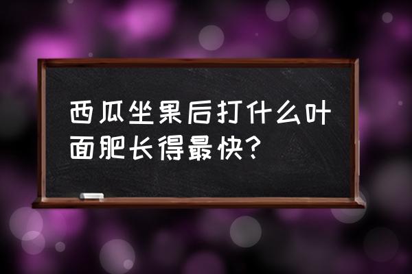 西瓜挂果期需要施什么肥料 西瓜坐果后打什么叶面肥长得最快? 西瓜挂果期需要施什么肥料 西瓜坐果后打什么叶面肥长得最快?