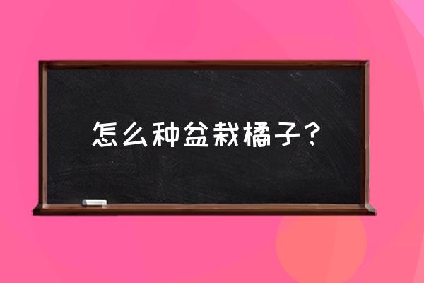 在家如何种橘子 怎么种盆栽橘子? 在家如何种橘子 怎么种盆栽橘子?