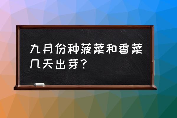 香菜菠菜什么季节种最佳 九月份种菠菜和香菜几天出芽? 香菜菠菜什么季节种最佳 九月份种菠菜和香菜几天出芽?