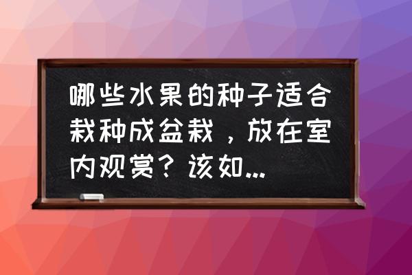 柚子种子怎么做盆栽 哪些水果的种子适合栽种成盆栽,放在室内观赏?该如何养护? 柚子种子怎么做盆栽 哪些水果的种子适合栽种成盆栽,放在室内观赏?该如何养护?