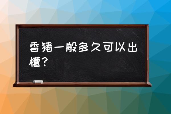 买小香猪是买公的还是母的好 香猪一般多久可以出槽? 买小香猪是买公的还是母的好 香猪一般多久可以出槽?