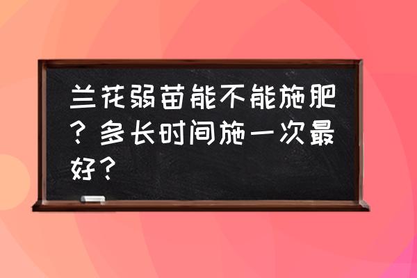 菜籽饼没有发酵放在树根上 兰花弱苗能不能施肥?多长时间施一次最好? 菜籽饼没有发酵放在树根上 兰花弱苗能不能施肥?多长时间施一次最好?
